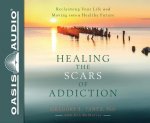 Healing the Scars of Addiction (Library Edition): Reclaiming Your Life and Moving Into a Healthy Future