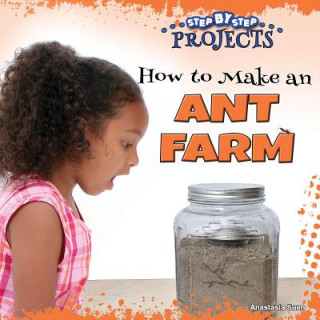 How to Make an Ant Farm