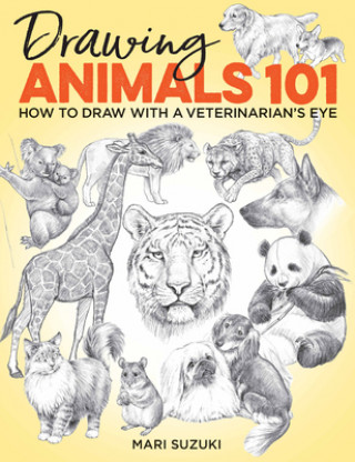 Drawing Animals 101