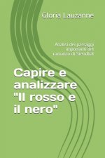 Capire e analizzare 