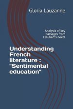 Understanding French literature