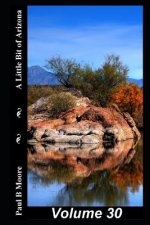 A Little Bit of Arizona: Volume 30