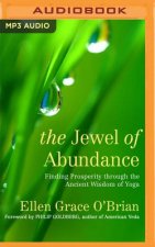 The Jewel of Abundance: Finding Prosperity Through the Ancient Wisdom of Yoga