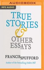 True Stories & Other Essays