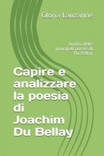 Capire e analizzare la poesia di Joachim Du Bellay