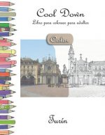 Cool Down [Color] - Libro para colorear para adultos: Turin