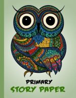 Primary Story Paper: Draw & Write Composition Book for Kids - Owl Green