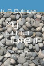 My Lunar Home III: A Totally New Paradigm