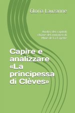 Capire e analizzare La principessa di Cleves