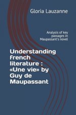 Understanding french literature
