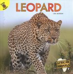 Leopard
