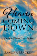 Heaven Coming Down: Because Heaven Came Down