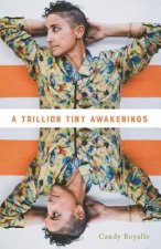 A Trillion Tiny Awakenings