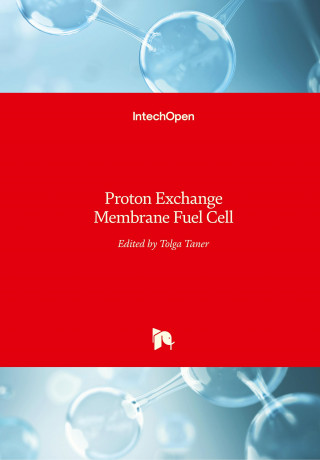 Proton Exchange Membrane Fuel Cell