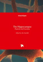 Hippocampus