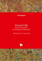 Stromal Cells