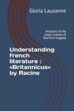Understanding french literature