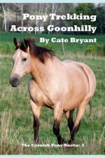 Pony Trekking Across Goonhilly