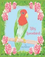 Lily Lovebird by Jay Patterson: Charming picture book story which follows Lily, a lonely little lovebird who finds a friend and then discovers the hap