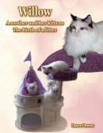 Willow: A Mother and Her Kittens: The Birth of a Litter