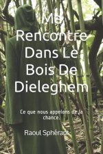 Ma Rencontre Dans Le Bois De Dieleghem: Ce que nous appelons de la chance.