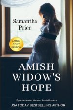 Amish Widow's Hope LARGE PRINT