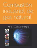 Combustión Industrial de Gas Natural
