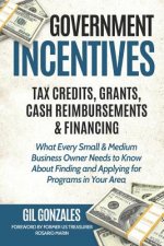 Government Incentives- Tax Credits, Grants, Cash Reimbursements & Financing What Every Small & Medium Sized Business Owner Needs to Know about Finding