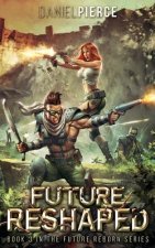 Future Reshaped: A Post-Apocalyptic Harem