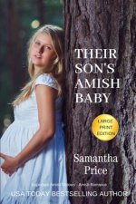 Their Son's Amish Baby LARGE PRINT