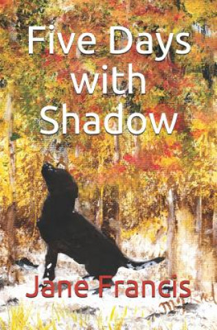 Five Days with Shadow