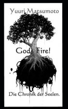 God's Fire: Die Chronik Der Seelen