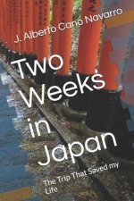 Two Weeks in Japan: The Trip That Saved My Life