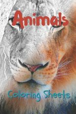 Animals Coloring Sheets: 30 Animals Drawings, Coloring Sheets Adults Relaxation, Coloring Book for Kids, for Girls, Volume 3