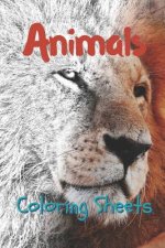 Animals Coloring Sheets: 30 Animals Drawings, Coloring Sheets Adults Relaxation, Coloring Book for Kids, for Girls, Volume 15
