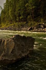 A Fast Creek: Rapids Are Characterized by the River Becoming Shallower with Some Rocks Exposed Above the Flow Surface. as Flowing Wa
