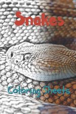 Snake Coloring Sheets: 30 Snake Drawings, Coloring Sheets Adults Relaxation, Coloring Book for Kids, for Girls, Volume 1