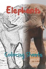 Elephant Coloring Sheets: 30 Elephant Drawings, Coloring Sheets Adults Relaxation, Coloring Book for Kids, for Girls, Volume 6