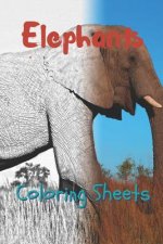 Elephant Coloring Sheets: 30 Elephant Drawings, Coloring Sheets Adults Relaxation, Coloring Book for Kids, for Girls, Volume 7