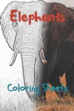 Elephant Coloring Sheets: 30 Elephant Drawings, Coloring Sheets Adults Relaxation, Coloring Book for Kids, for Girls, Volume 13