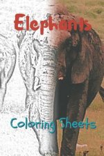 Elephant Coloring Sheets: 30 Elephant Drawings, Coloring Sheets Adults Relaxation, Coloring Book for Kids, for Girls, Volume 15