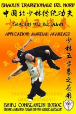 Shaolin Tradizionale del Nord Vol.13