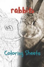 Rabbit Coloring Sheets: 30 Rabbit Drawings, Coloring Sheets Adults Relaxation, Coloring Book for Kids, for Girls, Volume 2