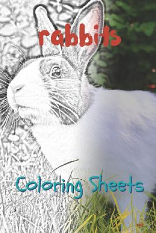 Rabbit Coloring Sheets: 30 Rabbit Drawings, Coloring Sheets Adults Relaxation, Coloring Book for Kids, for Girls, Volume 5