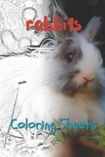 Rabbit Coloring Sheets: 30 Rabbit Drawings, Coloring Sheets Adults Relaxation, Coloring Book for Kids, for Girls, Volume 10