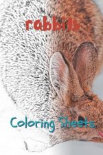 Rabbit Coloring Sheets: 30 Rabbit Drawings, Coloring Sheets Adults Relaxation, Coloring Book for Kids, for Girls, Volume 12