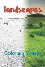 Landscape Coloring Sheets: 30 Landscape Drawings, Coloring Sheets Adults Relaxation, Coloring Book for Kids, for Girls, Volume 13