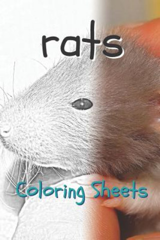 Rat Coloring Sheets: 30 Rat Drawings, Coloring Sheets Adults Relaxation, Coloring Book for Kids, for Girls, Volume 2