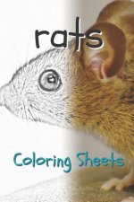 Rat Coloring Sheets: 30 Rat Drawings, Coloring Sheets Adults Relaxation, Coloring Book for Kids, for Girls, Volume 9