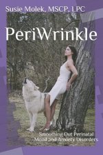 PeriWrinkle: Smoothing Out Perinatal Mood and Anxiety Disorders